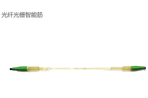 光纤光栅智能筋