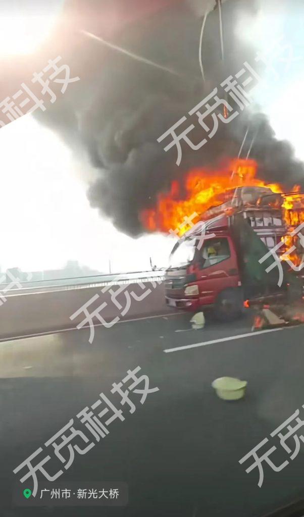 新光大桥车辆自燃事故引发桥梁安全警示，专家呼吁强化吊索防火设计